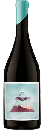 Pinot Noir de Aire